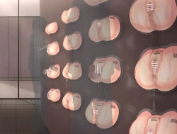 Page 152 of Girls Exhibition Hall: Attendants, Bathrooms, Punishment Cell, and Wall of Female Genitalia