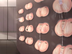 Page 153 of Girls Exhibition Hall: Attendants, Bathrooms, Punishment Cell, and Wall of Female Genitalia