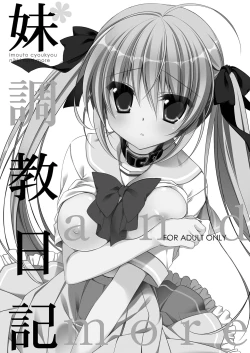 Page 4 of Imouto Choukyou Nikki Sairokushuu