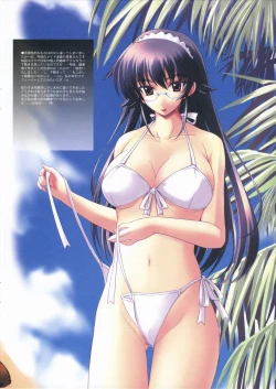 Page 15 of original colors