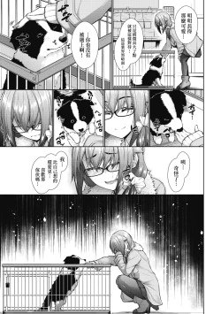 Page 156 of Chichi Toridori | 乳花撩亂