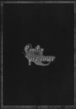 Page 22 of Papilio protenor