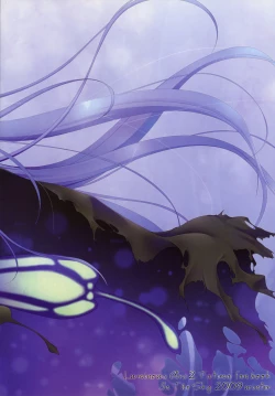 Page 26 of Papilio protenor