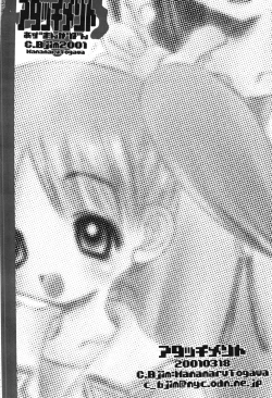 Page 17 of Attachment