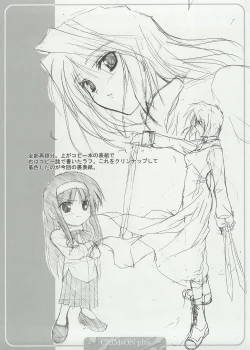 Page 16 of CRIMsON plus