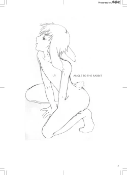 Page 2 of ANGLE TO THE RABBIT