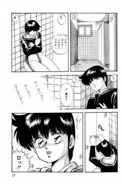 Page 21 of Virtual Collection