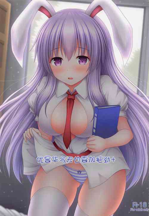 Download Udonge Ganbarimasu Plus