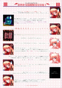 Page 13 of Moe Touhou Gensoukyou - Shin Hakurei Shojo Kekkai