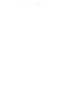 Page 2 of Petit Petit Bikini