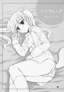 Page 2 of Harry no Shippo