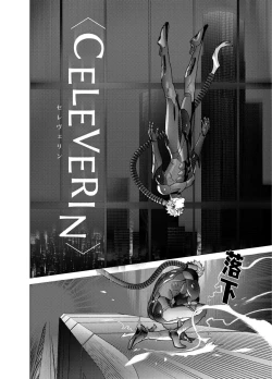 Page 6 of <CELEVERIN>