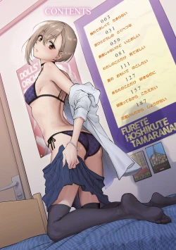 Page 4 of ふれてほしくて たまらない  未来數位、eve個人拼接版 無修正 DL版