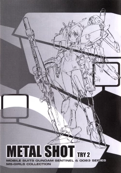 Page 1 of Metal Shot Try 2
