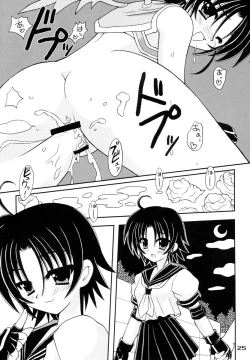 Page 24 of Shippuu Otome