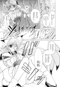 Page 66 of Shippuu Otome