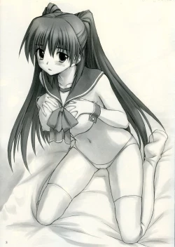 Page 3 of Simplicity.