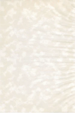 Page 3 of Ika-chan ni Hidoi koto suru Hon