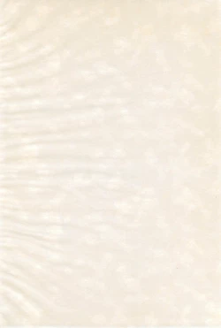 Page 4 of Ika-chan ni Hidoi koto suru Hon