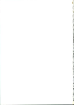 Page 27 of 303e Vol. 07