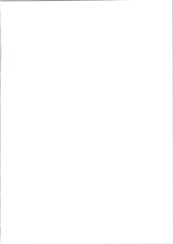 Page 2 of HUMAN HIGH-LIGHT FILM IV