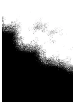 Page 10 of Onah Otokonoko | 伪娘的阴道