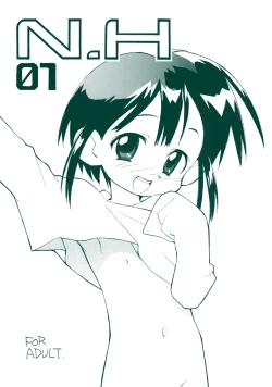 Page 1 of N.H 01