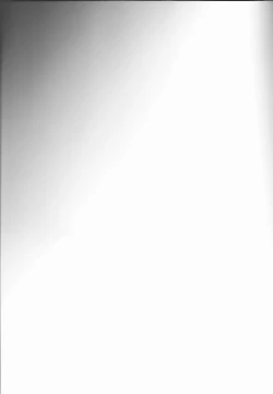 Page 2 of Zenbu Natsu no Sei‼ ︎