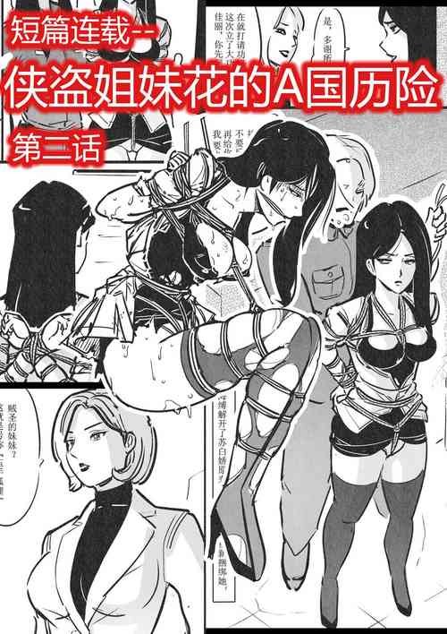 Download 侠盗姐妹花的A国历险2