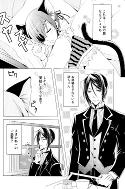 Page 27 of Shiyoiunin to Inu