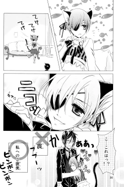 Page 29 of Shiyoiunin to Inu