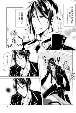 Page 30 of Shiyoiunin to Inu