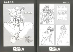 Page 31 of 桃色申告書 ver.MILLENNIUM FALCON