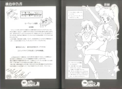 Page 55 of 桃色申告書 ver.MILLENNIUM FALCON