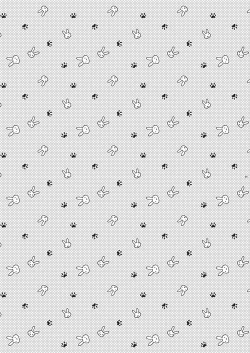 Page 24 of Shimakazekun ni Encount Shita Ken.