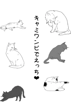 Page 20 of Kosutte PON