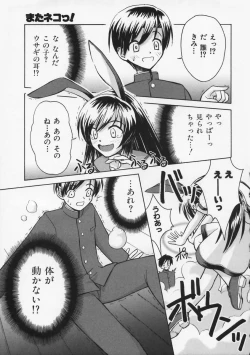 Page 12 of Mataneko!