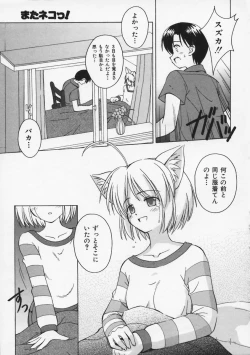 Page 162 of Mataneko!