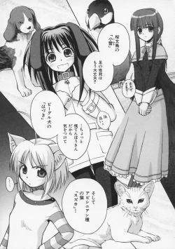 Page 28 of Mataneko!