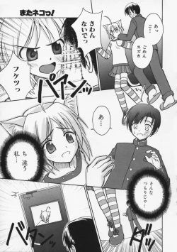 Page 30 of Mataneko!