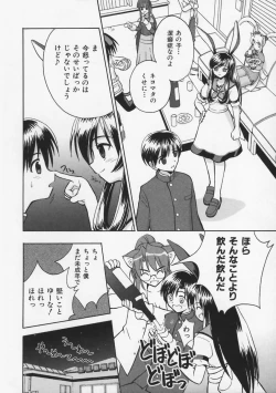 Page 31 of Mataneko!