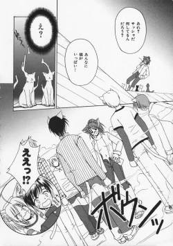 Page 91 of Mataneko!