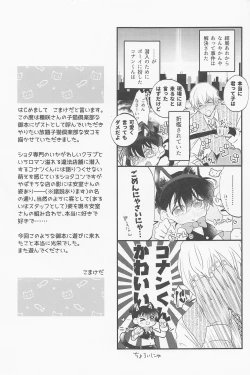 Page 28 of Cat night