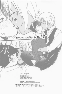 Page 29 of Cat night