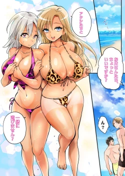 Page 22 of TS Gyaru-ka de Sex Beach!