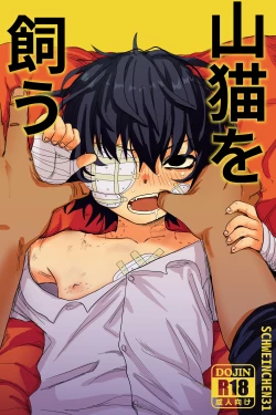 Page 1 of yamaneko o kau