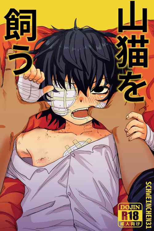 Download yamaneko o kau