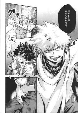 Page 21 of Hiiro no Akashi