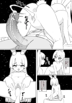 Page 14 of Shizuka no Usagi-tachi | 月兔女郎