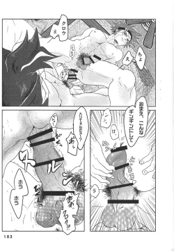 Page 183 of BIRD&BEE